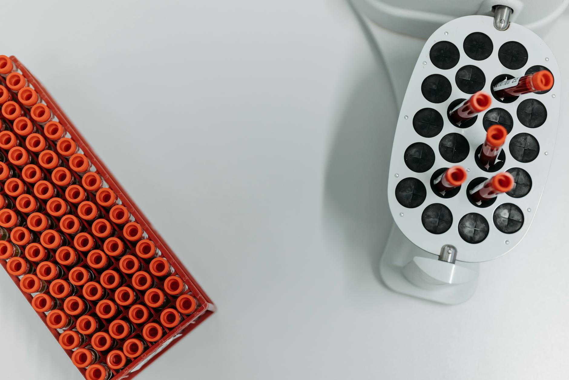 Što studija stvarno pokazuje o MethylScan testu