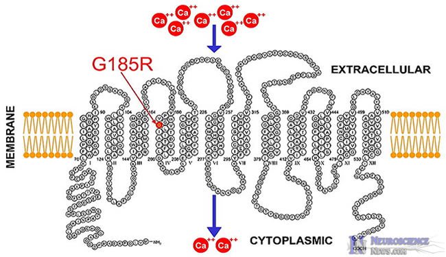 Genetska otkrića mijenjaju perspektivu na dječju epilepsiju — ali liječenje još uvijek izmiče
