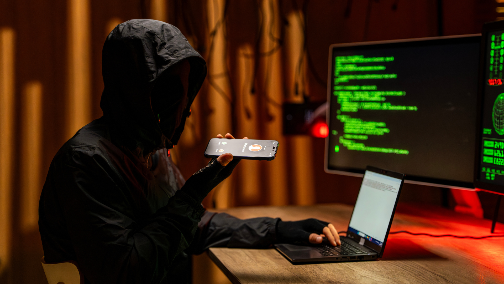 Rast cyberkriminala i nove prijetnje za korisnike u digitalnom prostoru