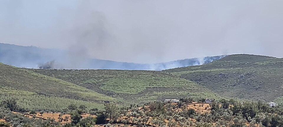 EnterpriseOps-Gym: The benchmark LLMs really needed