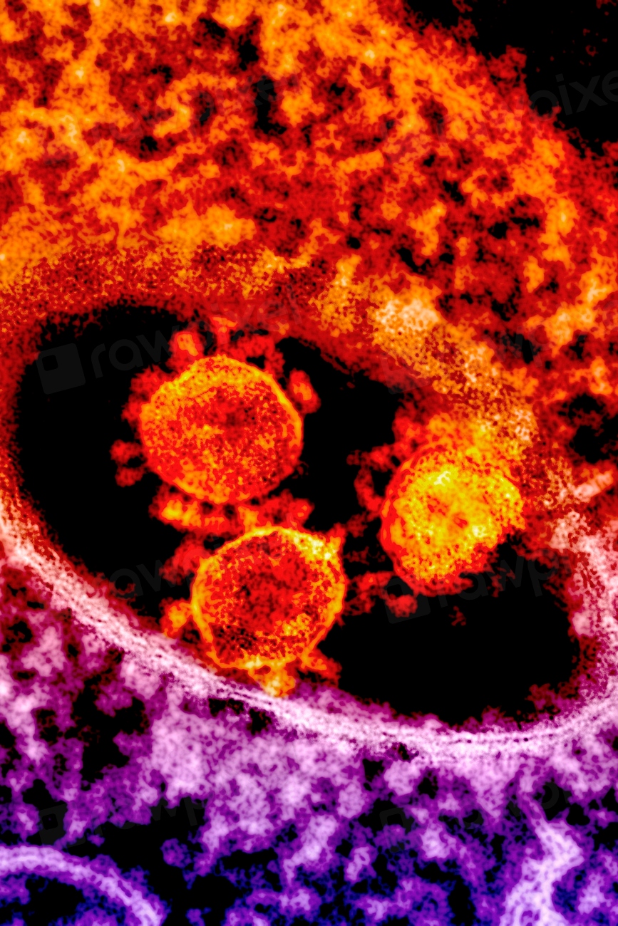 Što studija stvarno pokazuje — i gdje su granice