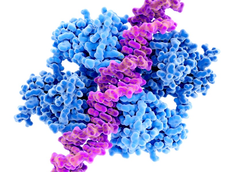 Novi pristup liječenju raka vraća nadu — ali samo za jednu mutaciju