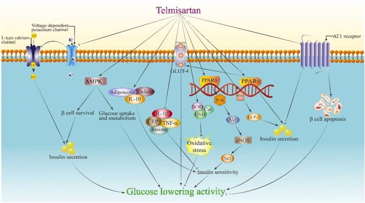Kako antihipertenziv postaje ključni saveznik PARP inhibitora