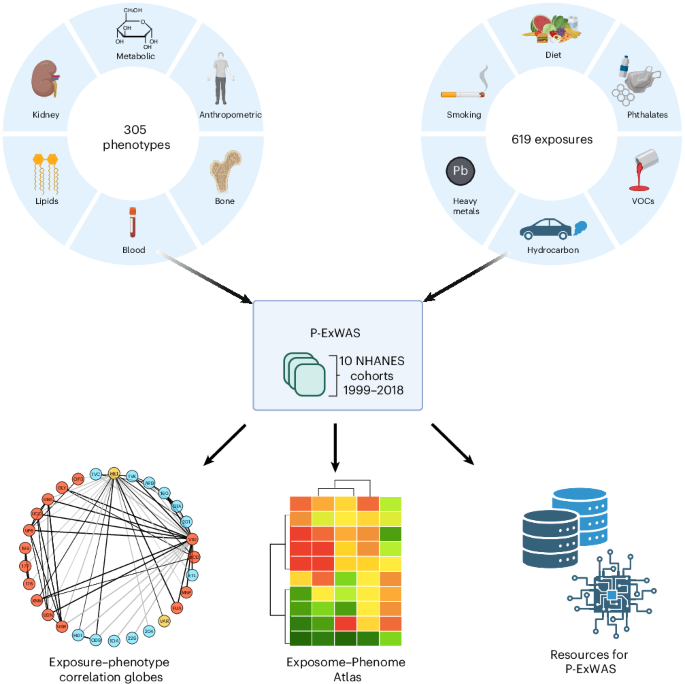 Što studija stvarno pokazuje o vezama između okoliša i zdravlja