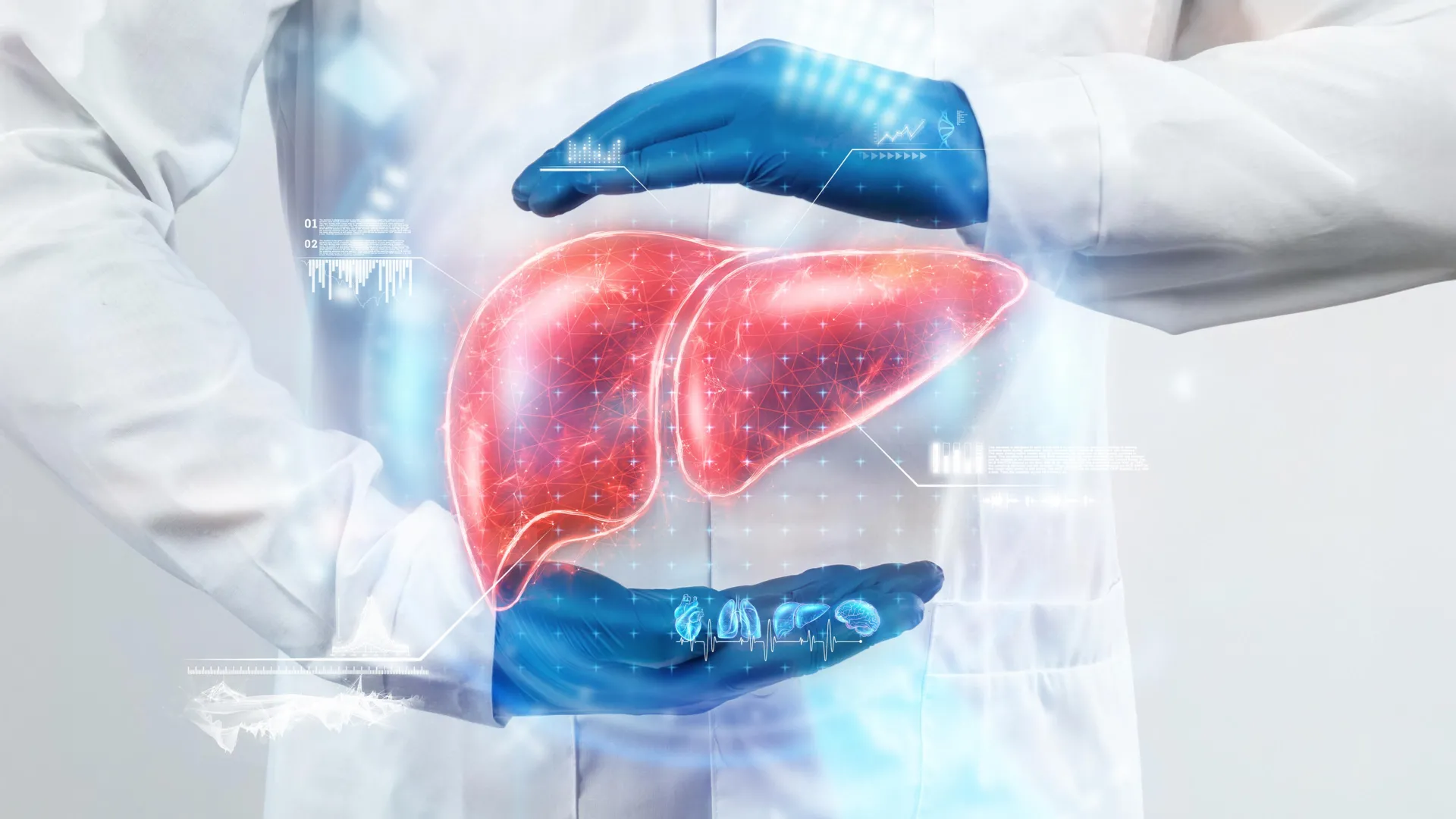 Vitamin B3’s quiet promise in the fatty liver fight